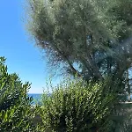 Mantea Leporano