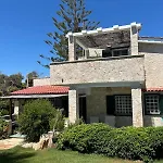 Mantea فيلة *