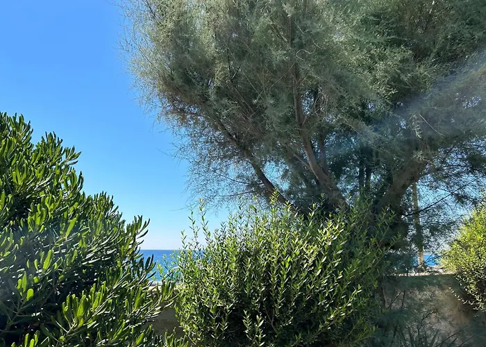 Mantea Leporano